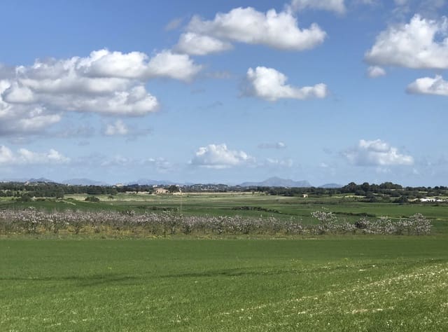 Grond te koop in Petra - € 700.000 (Ref: 7515600)