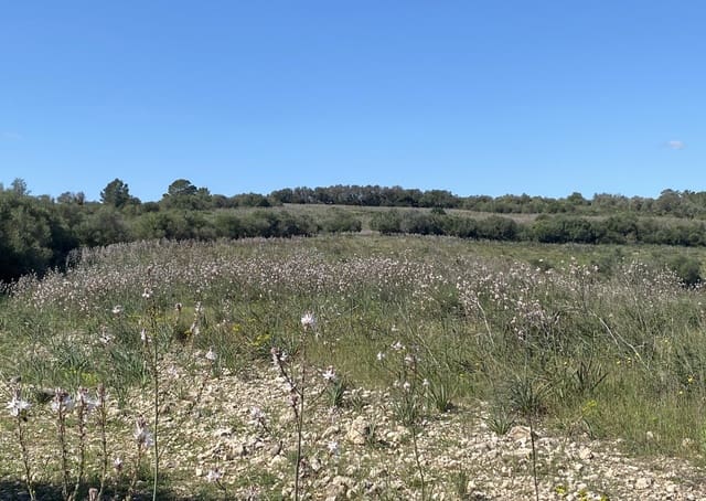 Grond te koop in Petra - € 700.000 (Ref: 7515600)