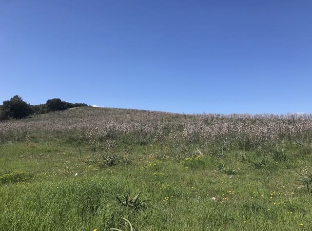 Grond te koop in Petra - € 700.000 (Ref: 7515600)