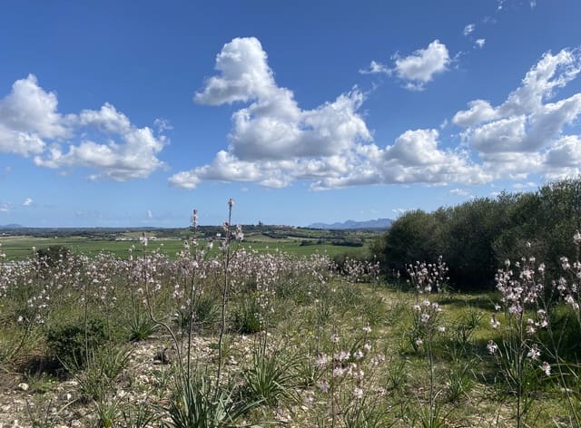 Grond te koop in Petra - € 700.000 (Ref: 7515600)