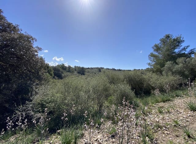 Grond te koop in Petra - € 700.000 (Ref: 7515600)