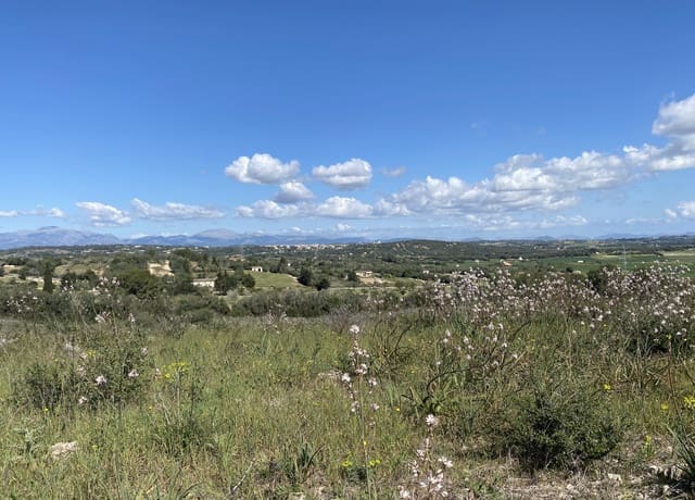 Grond te koop in Petra - € 700.000 (Ref: 7515600)