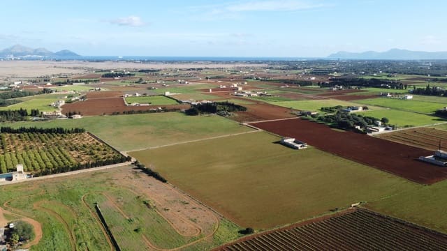 Undeveloped Land for sale in Muro - € 300,000 (Ref: 7699040)