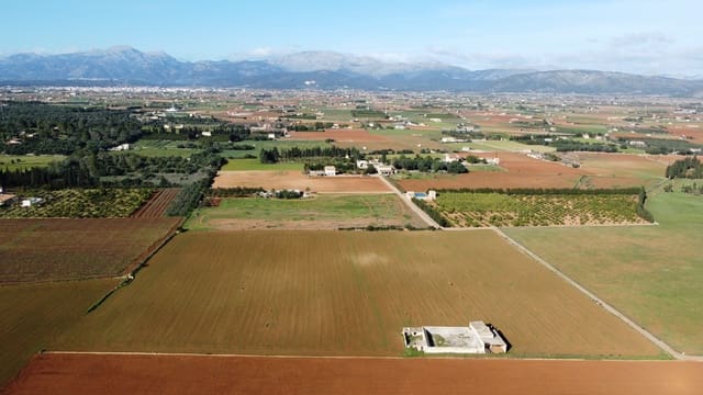 Undeveloped Land for sale in Muro - € 250,000 (Ref: 7699042)