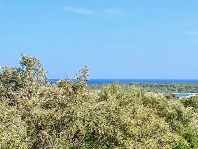 6 soveværelse Finca/Landehus til salg i Portocolom med swimmingpool - € 3.700.000 (Ref: 8005253)