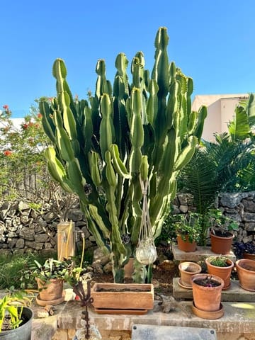 4 bedroom Finca/Country House for sale in Cala Llombards, Santanyí with pool - € 820,000 (Ref: 8074033)