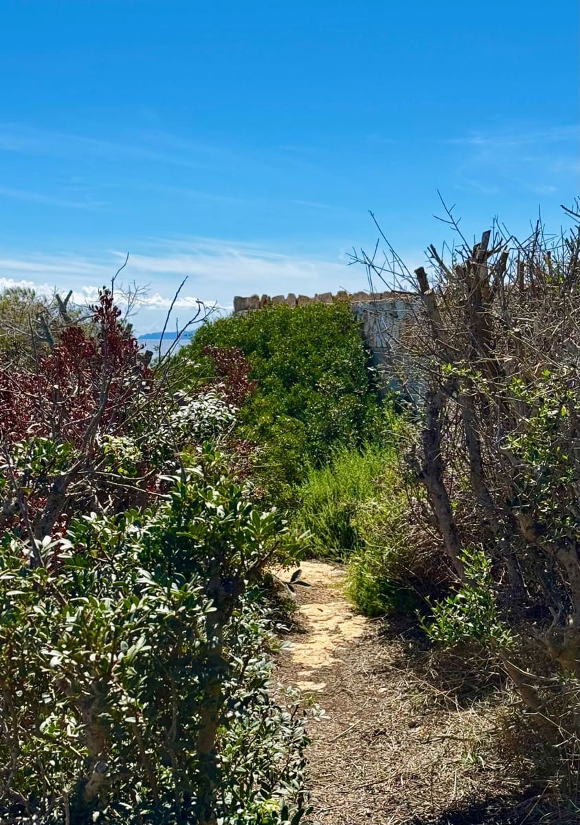 4 soveværelse Finca/Landehus til salg i Cala Llombards med swimmingpool - € 820.000 (Ref: 8074033)