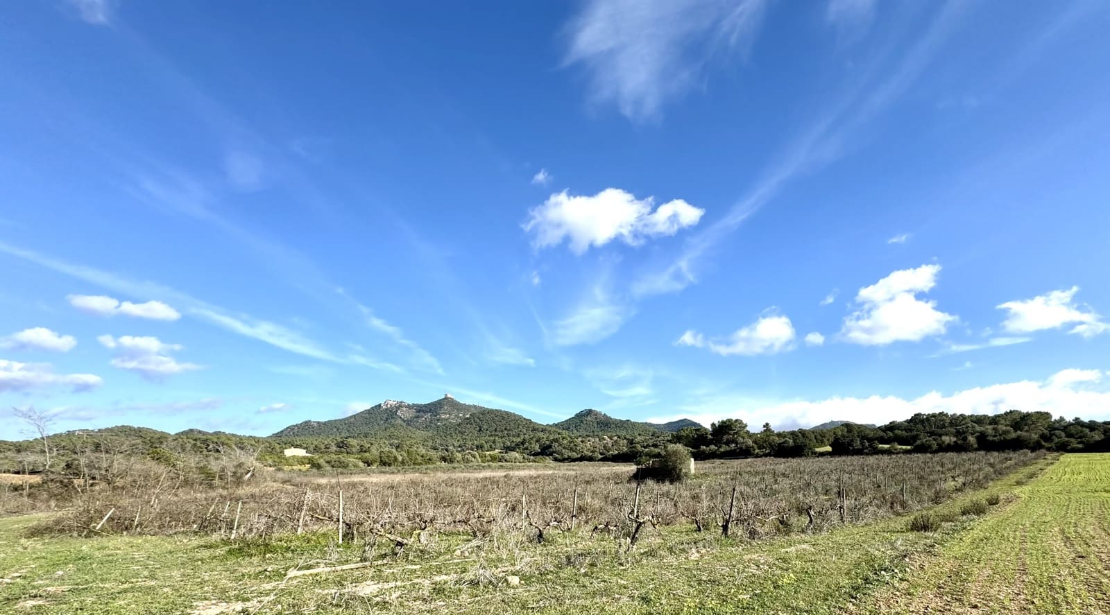 3 sypialnia Finka/Dom wiejski na sprzedaż w Cas Concos z basenem - 1 920 000 € (Ref: 8109168)