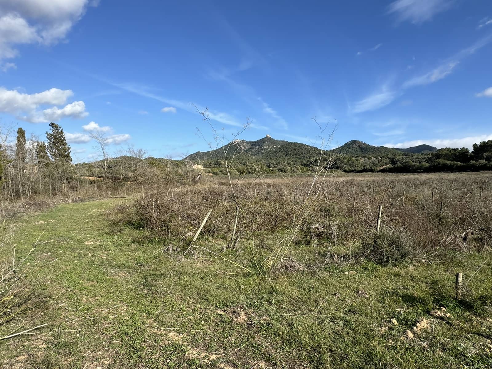 3 sypialnia Finka/Dom wiejski na sprzedaż w Cas Concos z basenem - 1 920 000 € (Ref: 8109168)