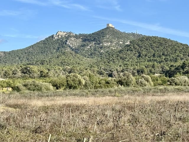 3 bedroom Finca/Country House for sale in Cas Concos, Felanitx with pool - € 1,920,000 (Ref: 8109168)