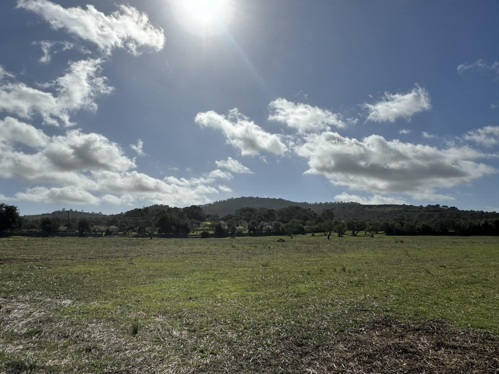 Terreno Non Edificato in vendita in Cas Concos - 905.000 € (Rif: 8113011)