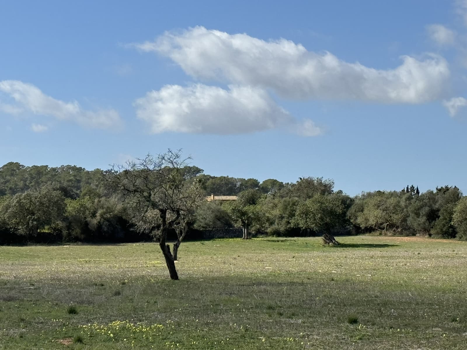 Terreno Non Edificato in vendita in Cas Concos - 905.000 € (Rif: 8113011)