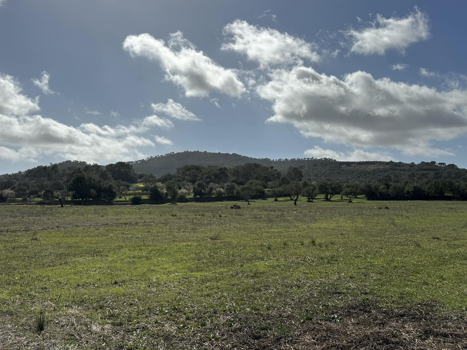 Terreno Non Edificato in vendita in Cas Concos - 905.000 € (Rif: 8113011)