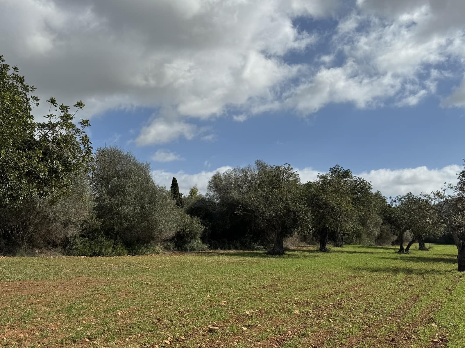 Terreno Non Edificato in vendita in Cas Concos - 905.000 € (Rif: 8113011)