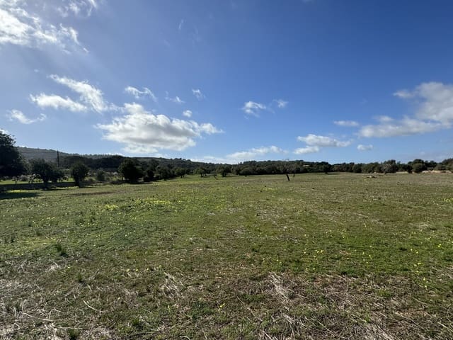 Terreno Não Urbanizado para venda em Cas Concos, Felanitx - 905 000 € (Ref: 8113011)