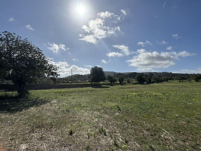 Terreno Não Urbanizado para venda em Cas Concos, Felanitx - 905 000 € (Ref: 8113011)