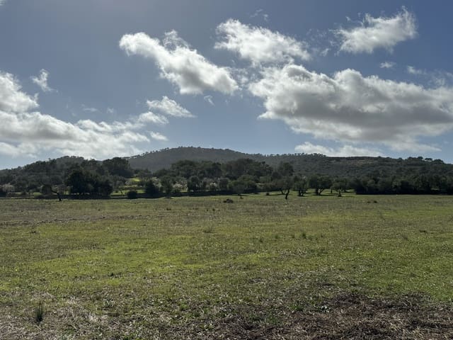 Terreno Não Urbanizado para venda em Cas Concos, Felanitx - 905 000 € (Ref: 8113011)