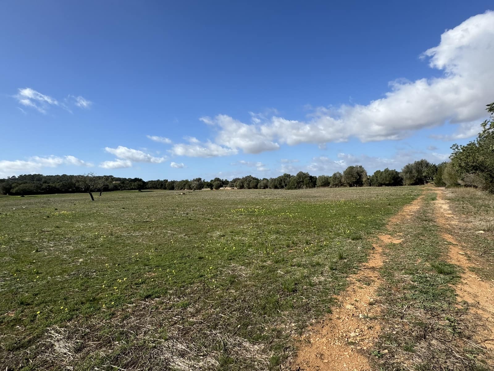 Terreno Non Edificato in vendita in Cas Concos - 905.000 € (Rif: 8113011)