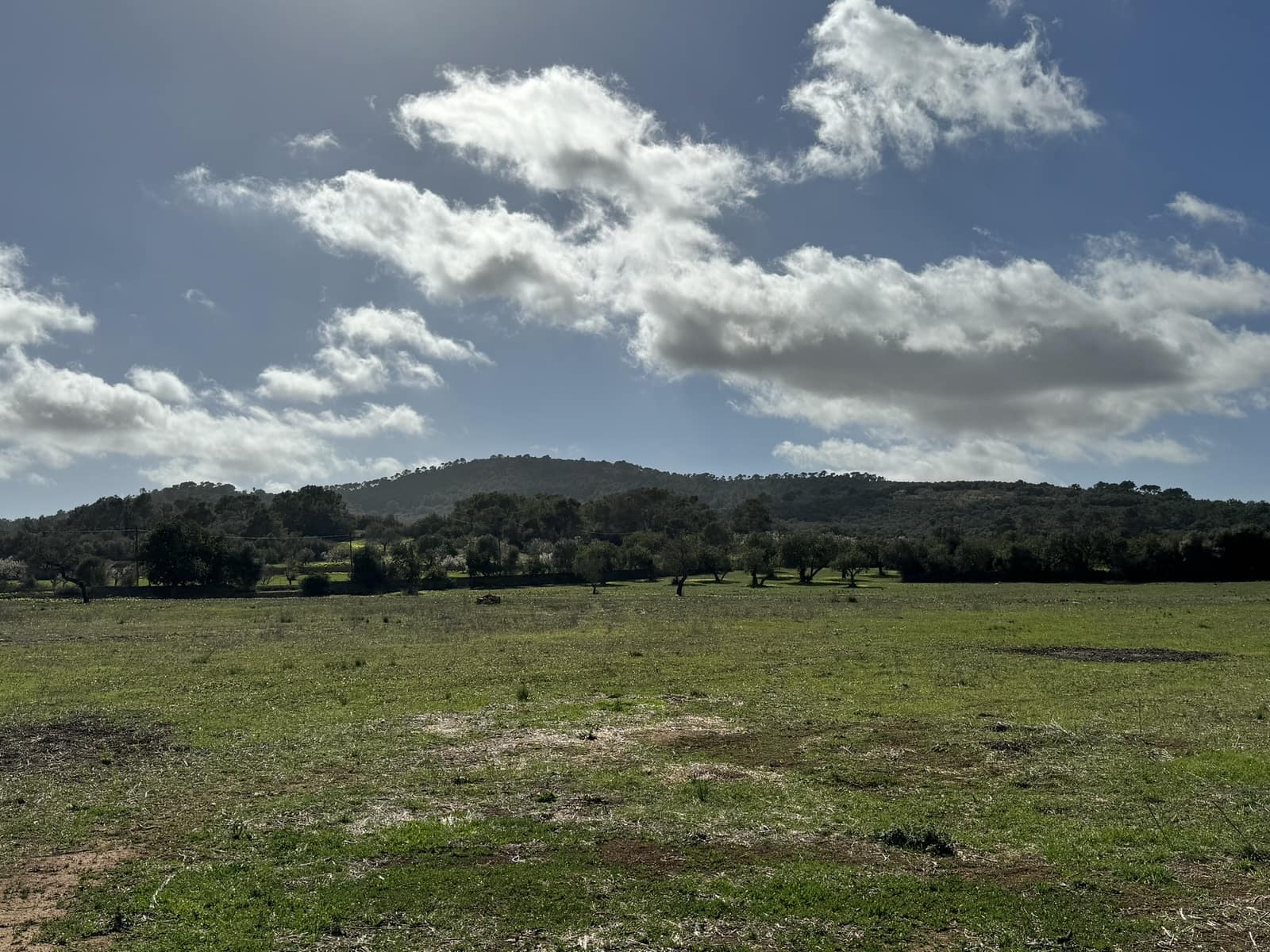 Terreno Non Edificato in vendita in Cas Concos - 905.000 € (Rif: 8113011)