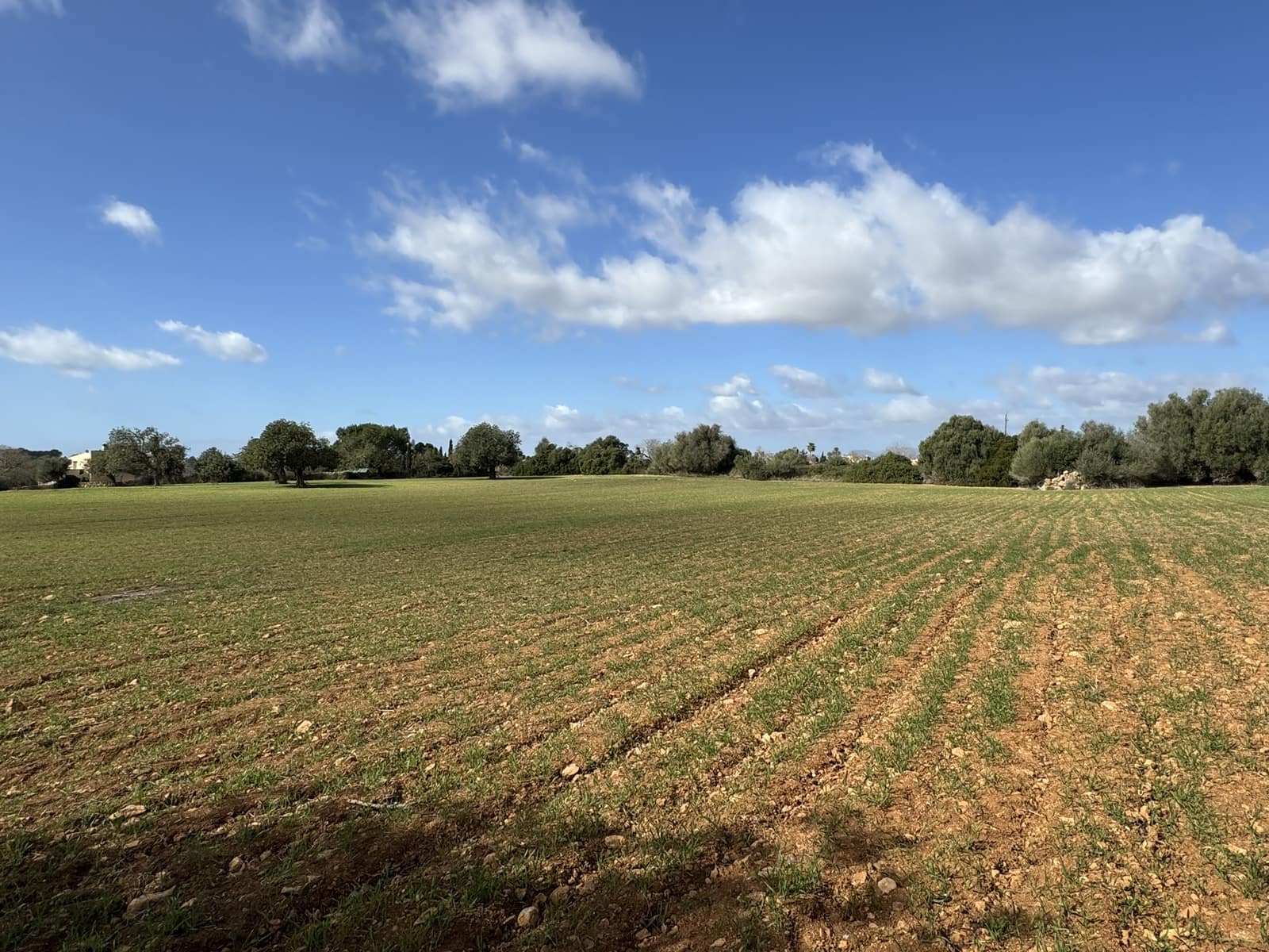 Terreno Non Edificato in vendita in Cas Concos - 905.000 € (Rif: 8113011)