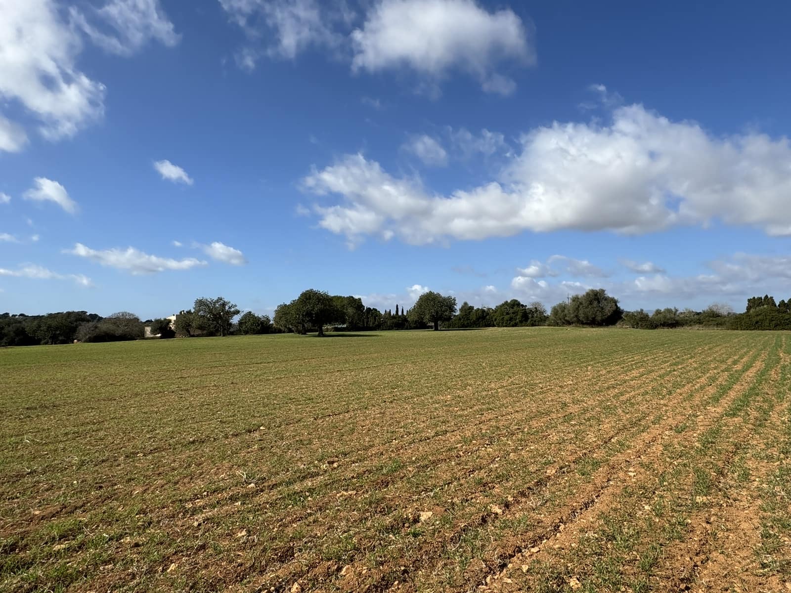 Terreno Non Edificato in vendita in Cas Concos - 905.000 € (Rif: 8113011)