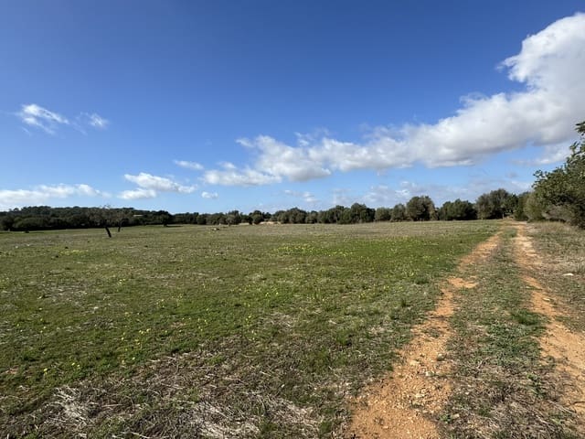 Terreno Não Urbanizado para venda em Cas Concos, Felanitx - 905 000 € (Ref: 8113011)