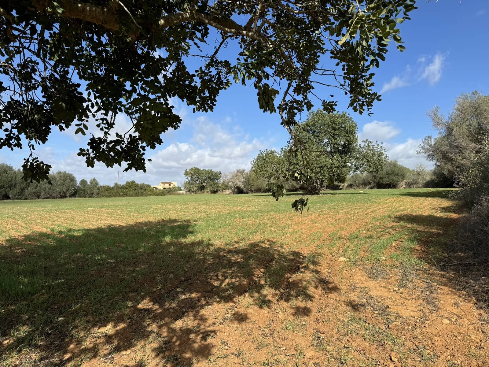 Terreno Non Edificato in vendita in Cas Concos - 905.000 € (Rif: 8113011)