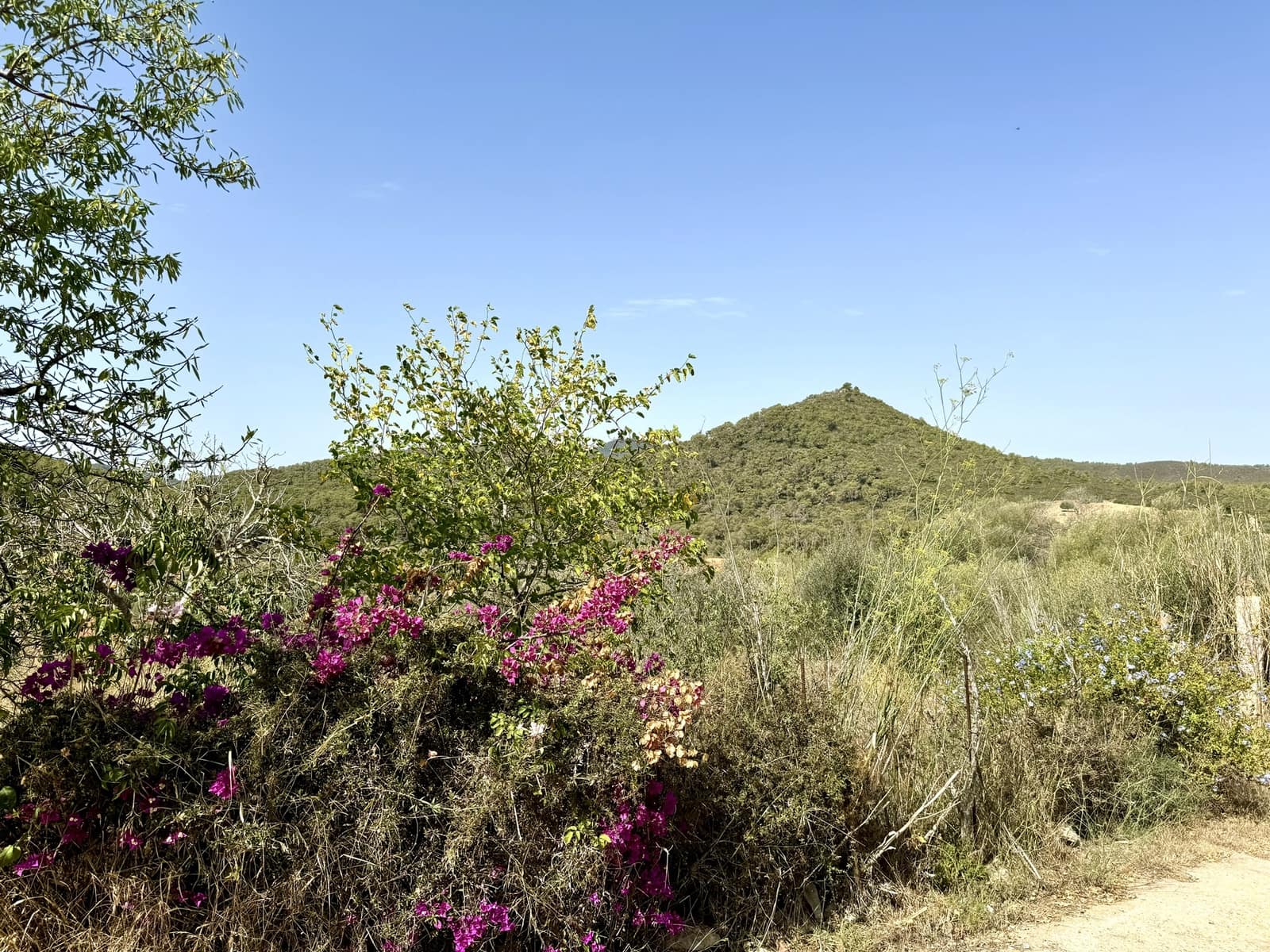 5 soveværelse Finca/Landehus til salg i Portocolom med swimmingpool garage - € 1.750.000 (Ref: 8436489)