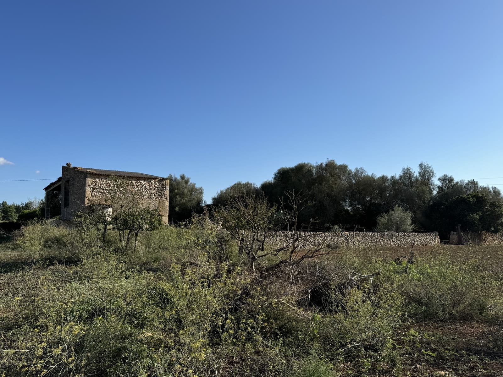 Finca/Casa Rural en Felanitx en venta - 1.750.000 € (Ref: 8590049)