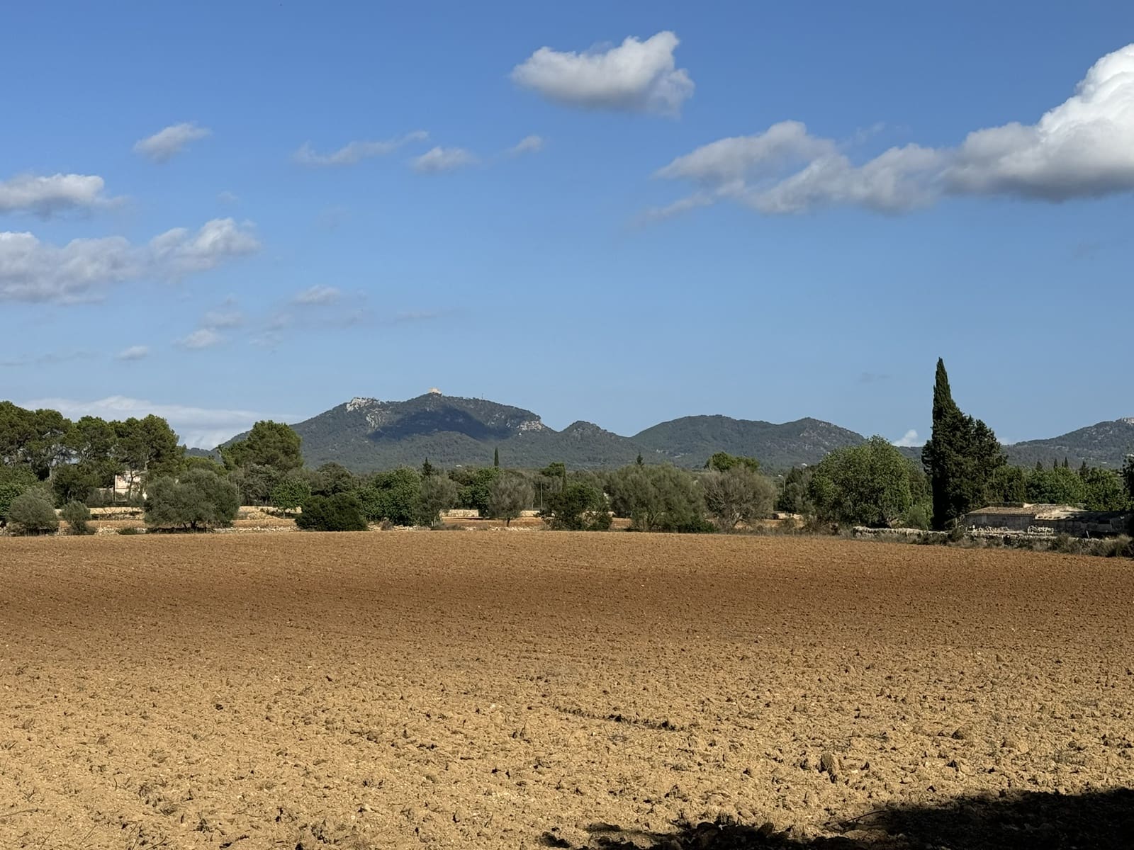 Finca/Casa Rural en Felanitx en venta - 1.750.000 € (Ref: 8590049)