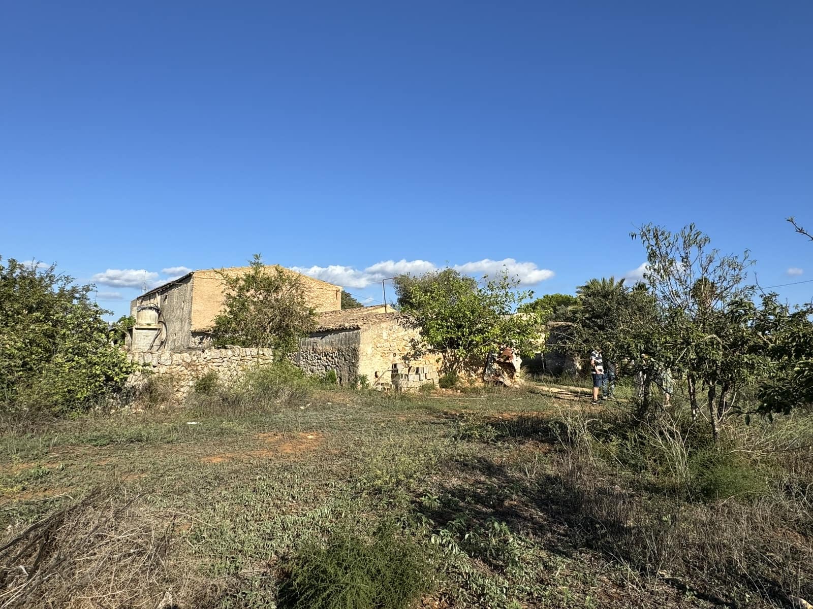 Finca/Casa Rural en Felanitx en venta - 1.750.000 € (Ref: 8590049)