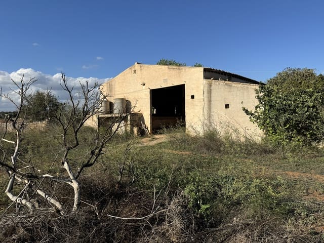 Finca/Casa Rural en Felanitx en venta - 1.750.000 € (Ref: 8590049)