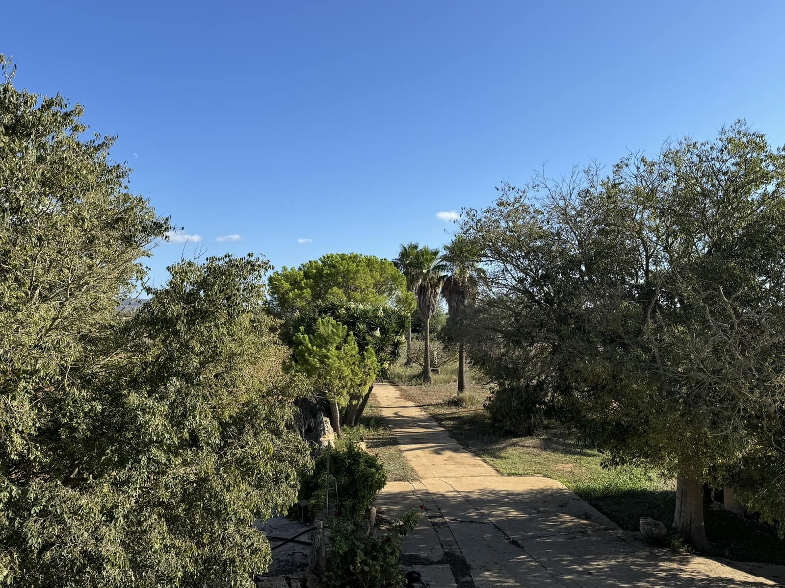 Finca/Casa Rural en Felanitx en venta - 1.750.000 € (Ref: 8590049)