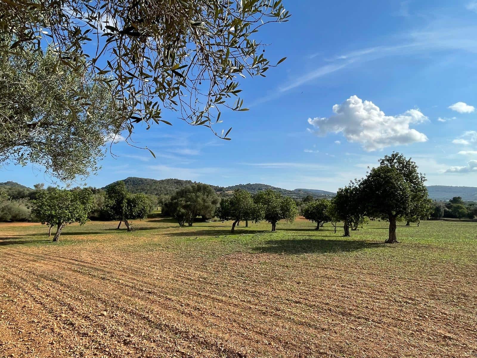 3 soveværelse Finca/Landehus til salg i Felanitx med swimmingpool garage - € 3.450.000 (Ref: 8633331)