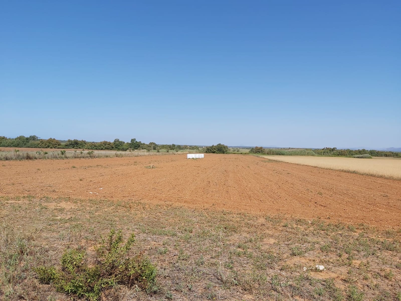 Finca/Landehus til salg i Campos - € 320.000 (Ref: 8785682)