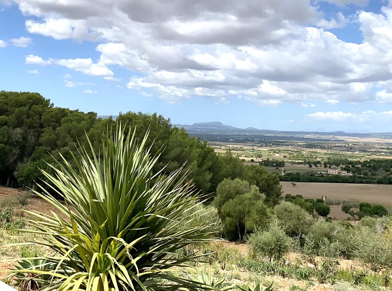 Finca/Landehus til leje i Manacor med swimmingpool - € 5.700 (Ref: 9199992)