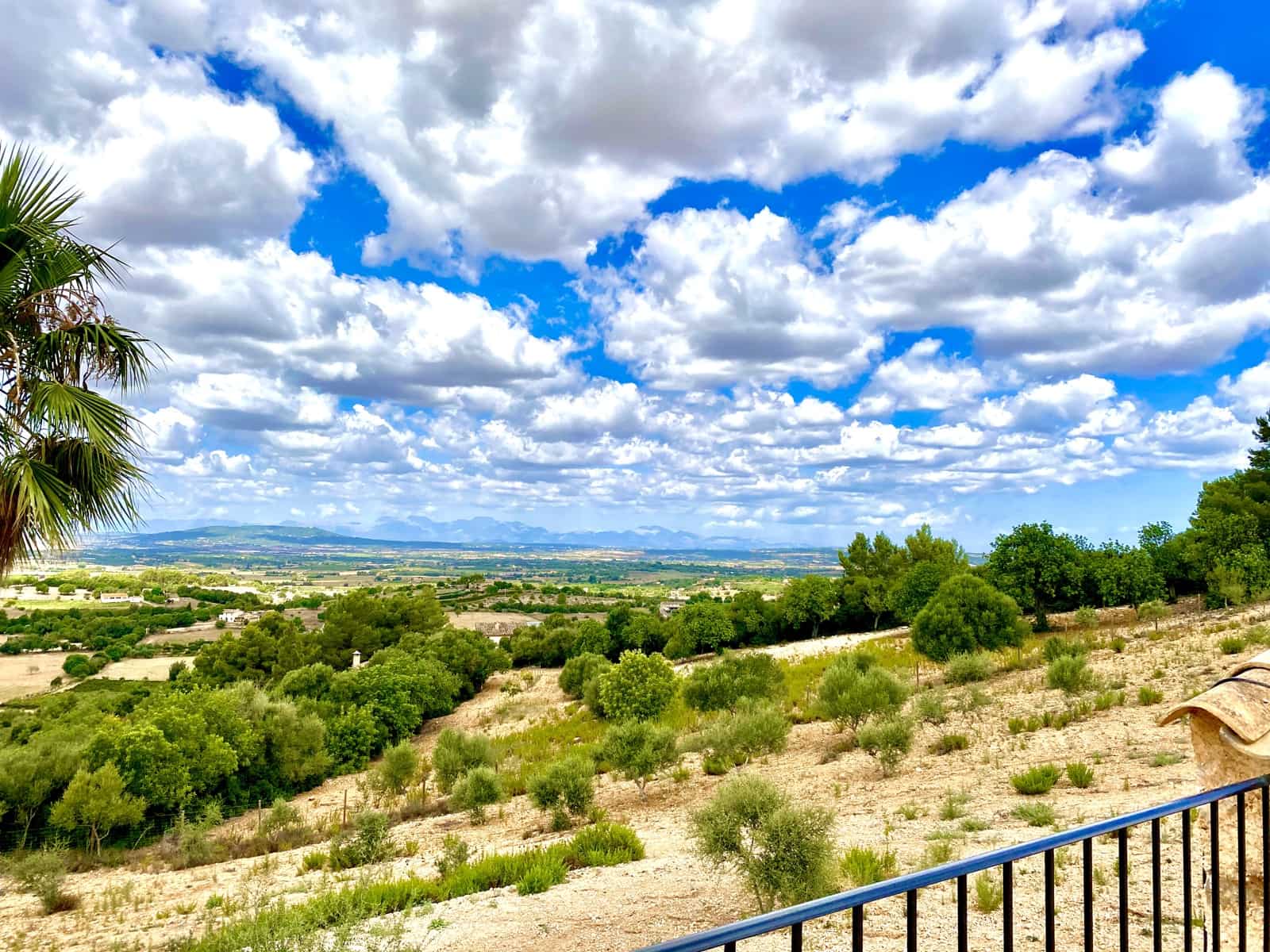 Finca/Landehus til leje i Manacor med swimmingpool - € 5.700 (Ref: 9199992)