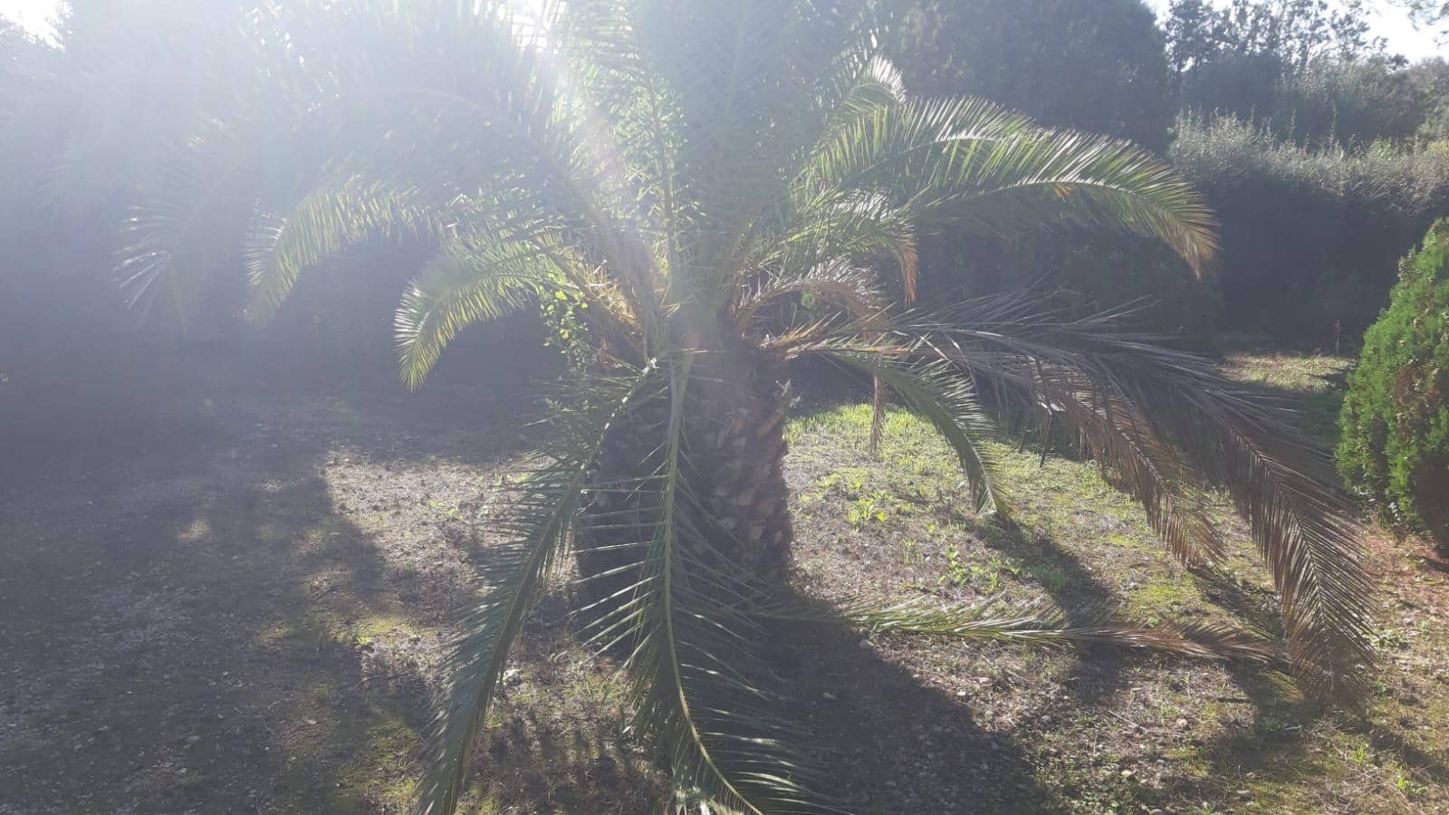 Dom na sprzedaż w Felanitx - 425 000 € (Ref: 9325420)