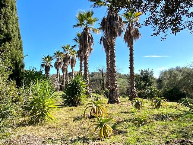4 bedroom Finca/Country House for sale in Manacor with pool garage - € 3,900,000 (Ref: 9789732)