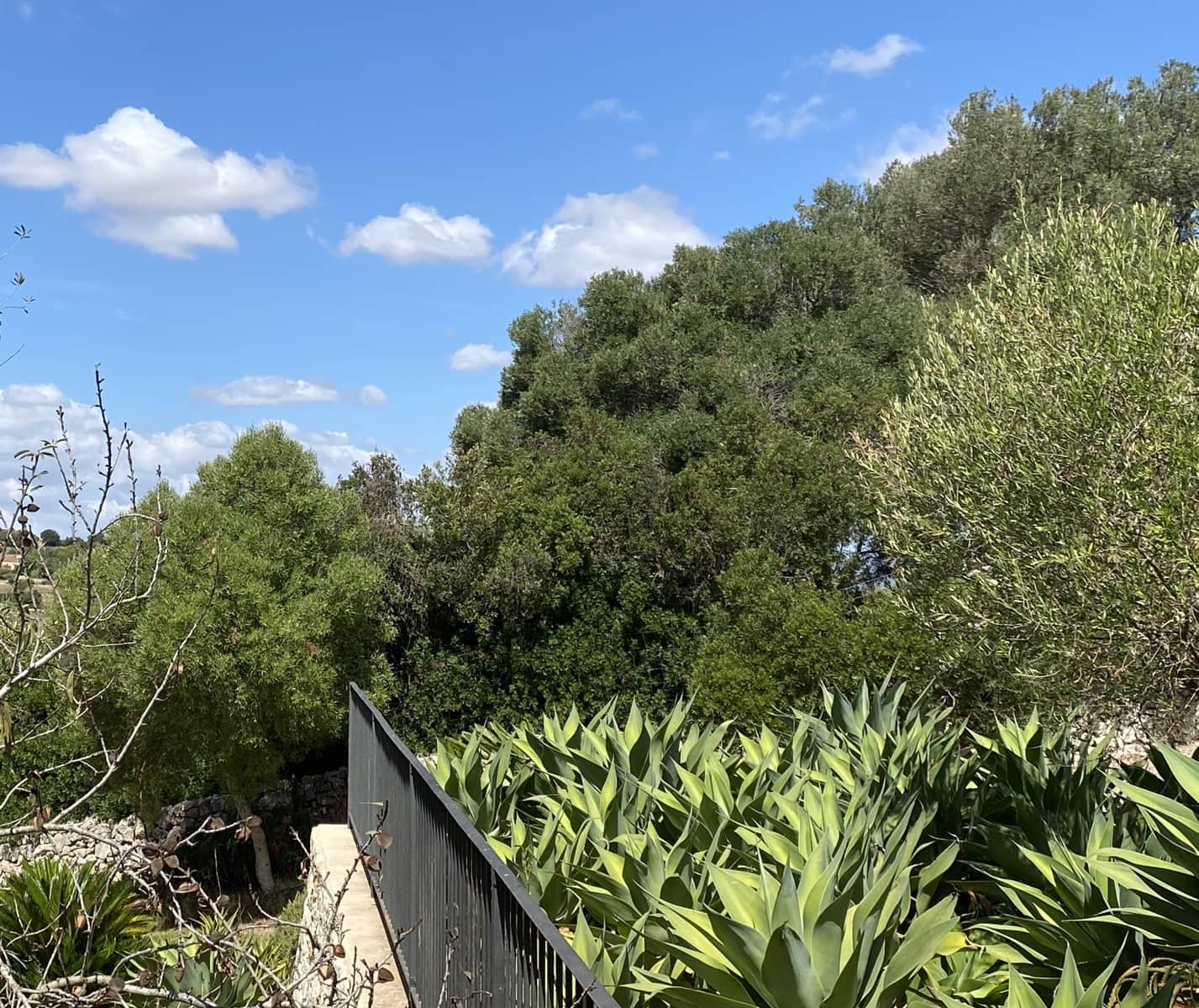 3 soverom Finca/Herregård til leie i Manacor med svømmebasseng - € 3 000 (Ref: 9789750)