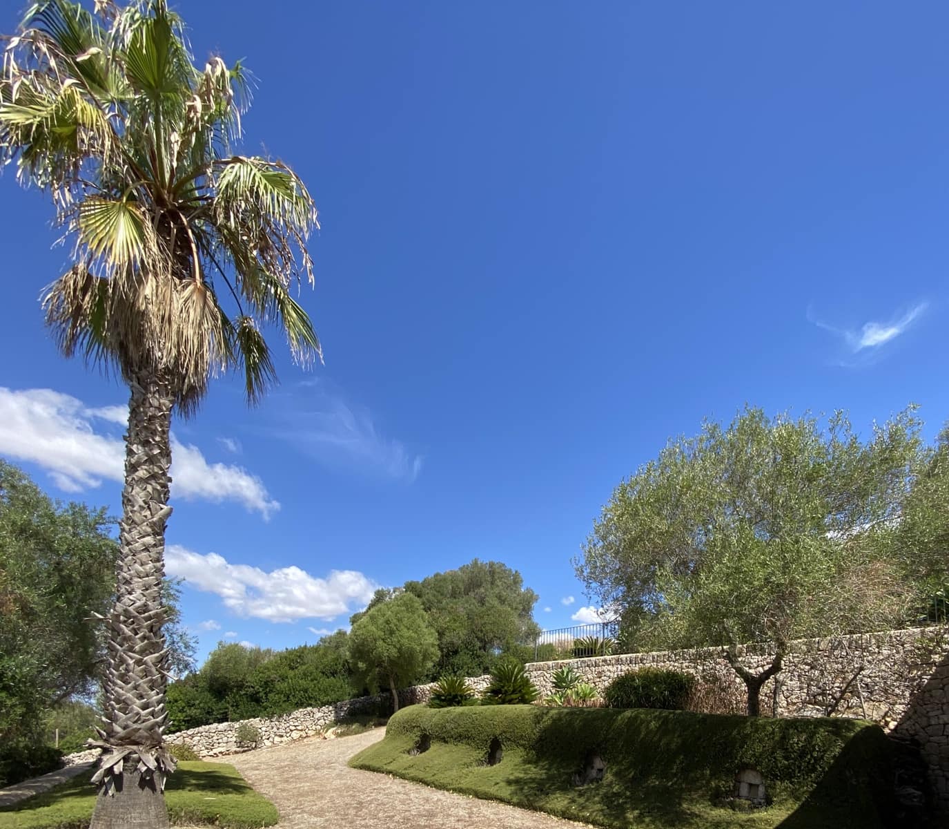 3 soverom Finca/Herregård til leie i Manacor med svømmebasseng - € 3 000 (Ref: 9789750)