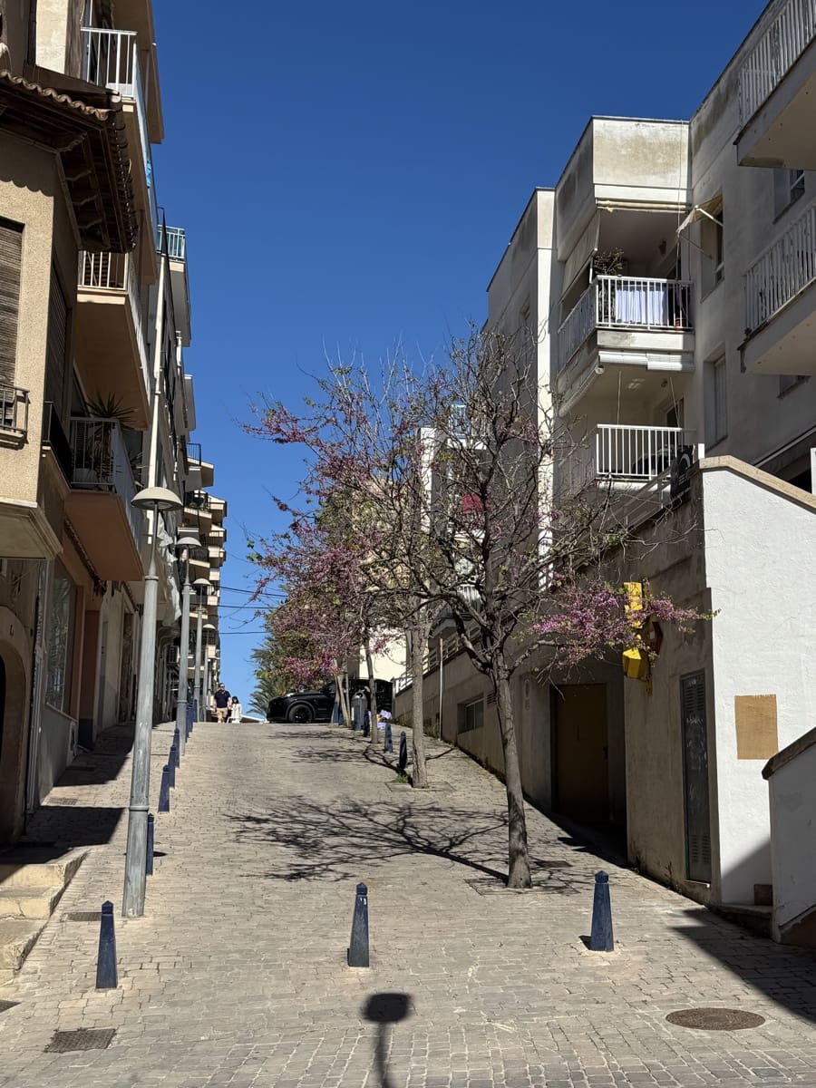 3 camera da letto Appartamento in vendita in Portocristo / Port de Manacor - 390.000 € (Rif: 9821312)