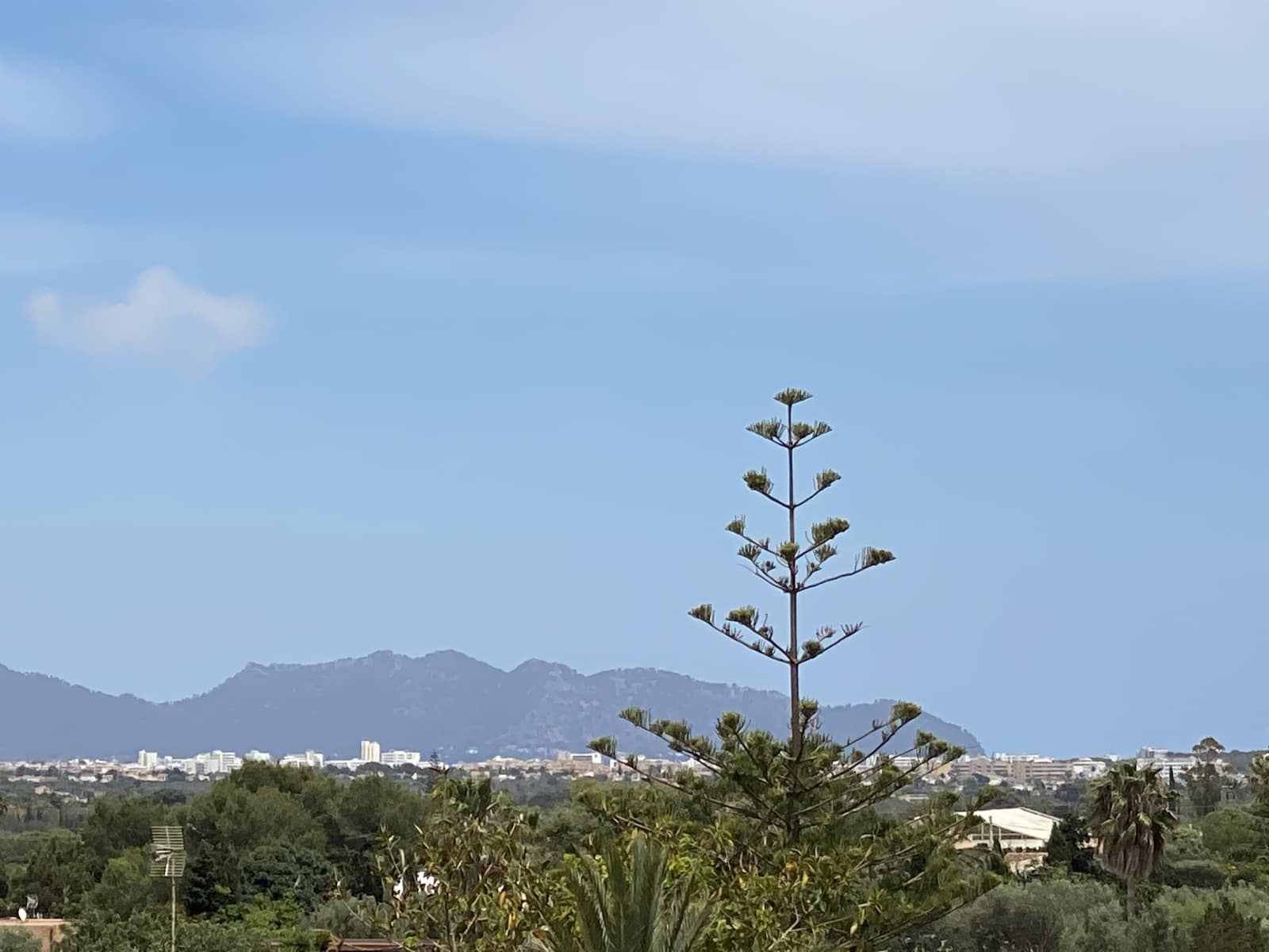 6 chambre Finca/Maison de Campagne à vendre à Portocristo / Port de Manacor - 1 750 000 € (Ref: 9829617)