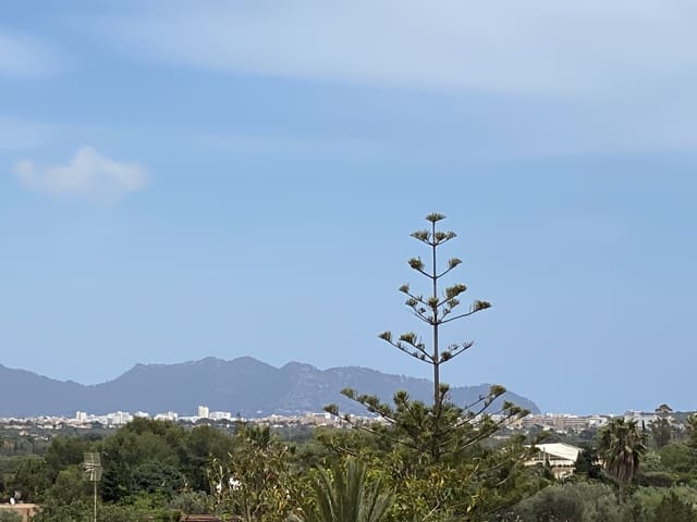 6 chambre Finca/Maison de Campagne à vendre à Portocristo / Port de Manacor, Manacor - 1 750 000 € (Ref: 9829617)