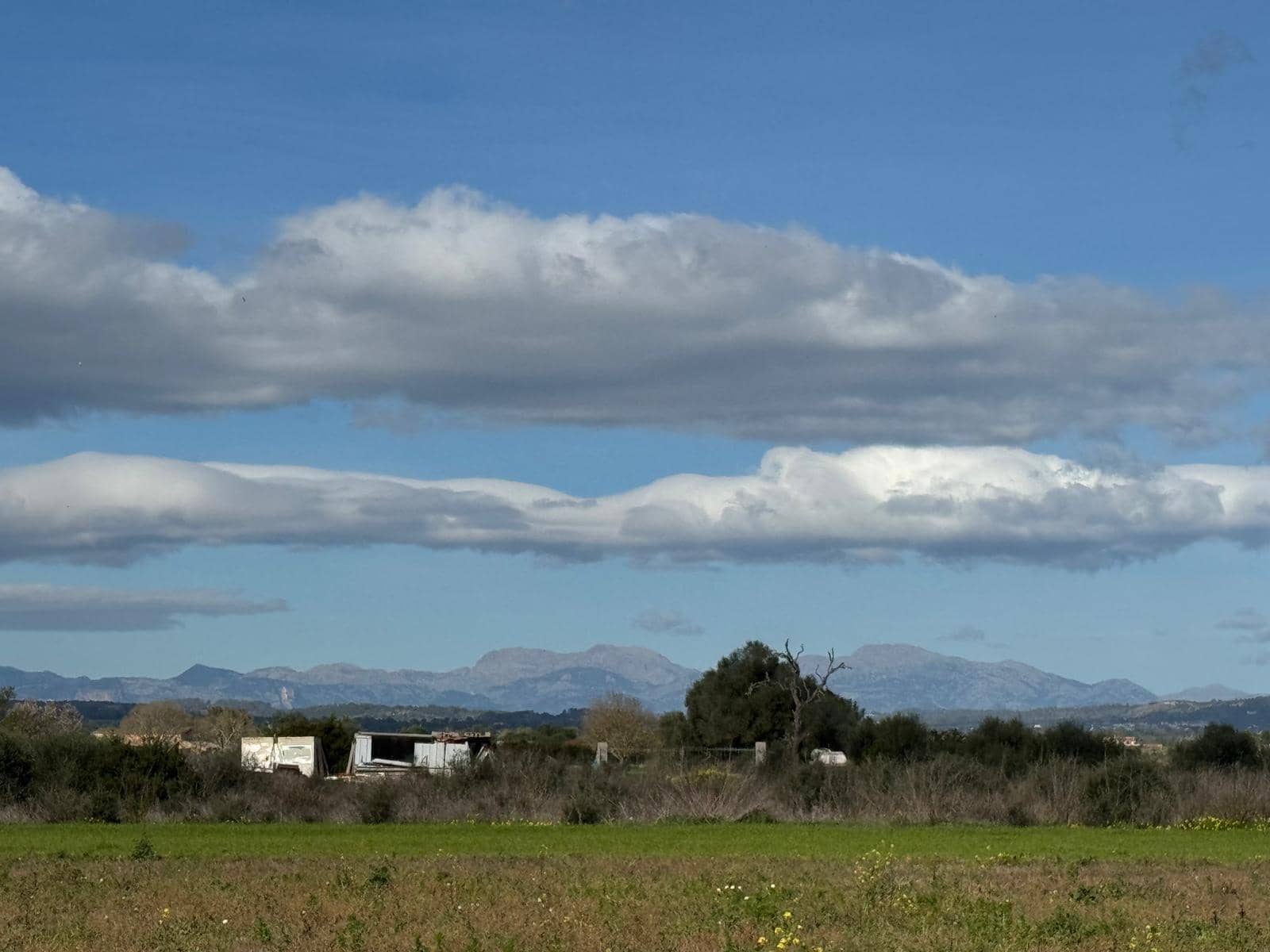 Building Plot for sale in Felanitx - € 160,000 (Ref: 9829631)