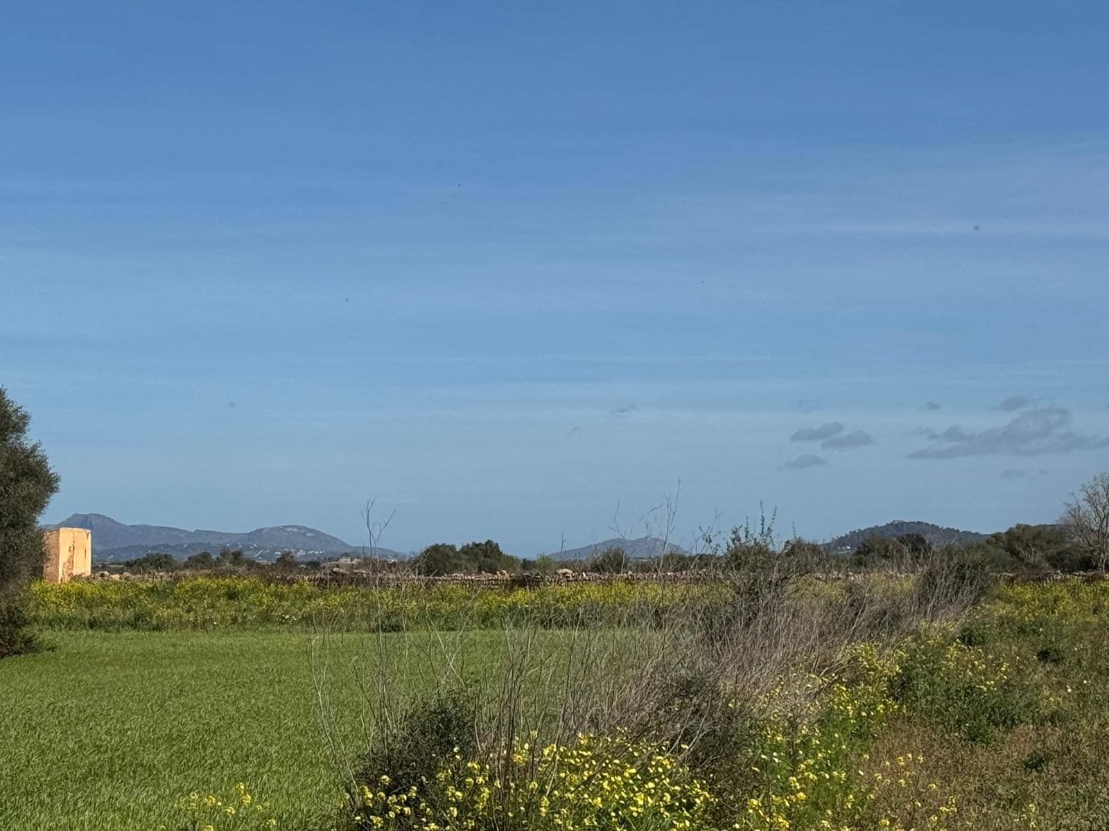 Building Plot for sale in Felanitx - € 160,000 (Ref: 9829631)