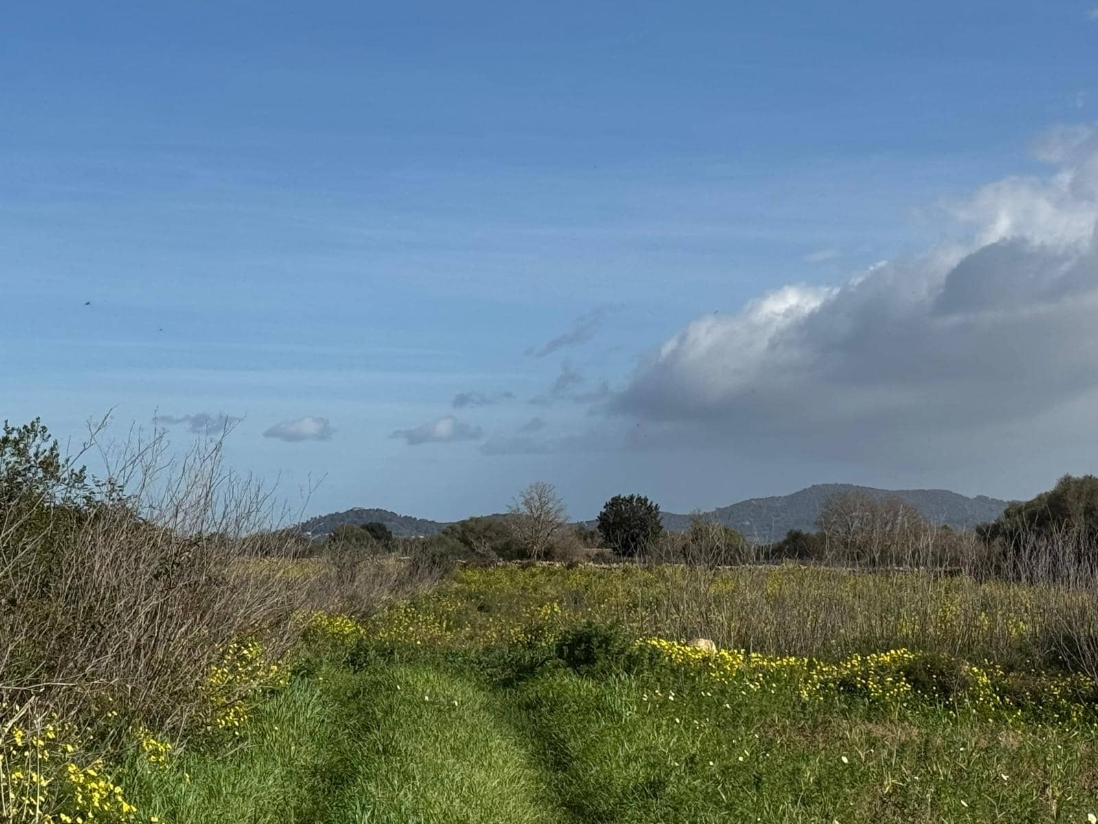 Building Plot for sale in Felanitx - € 160,000 (Ref: 9829631)