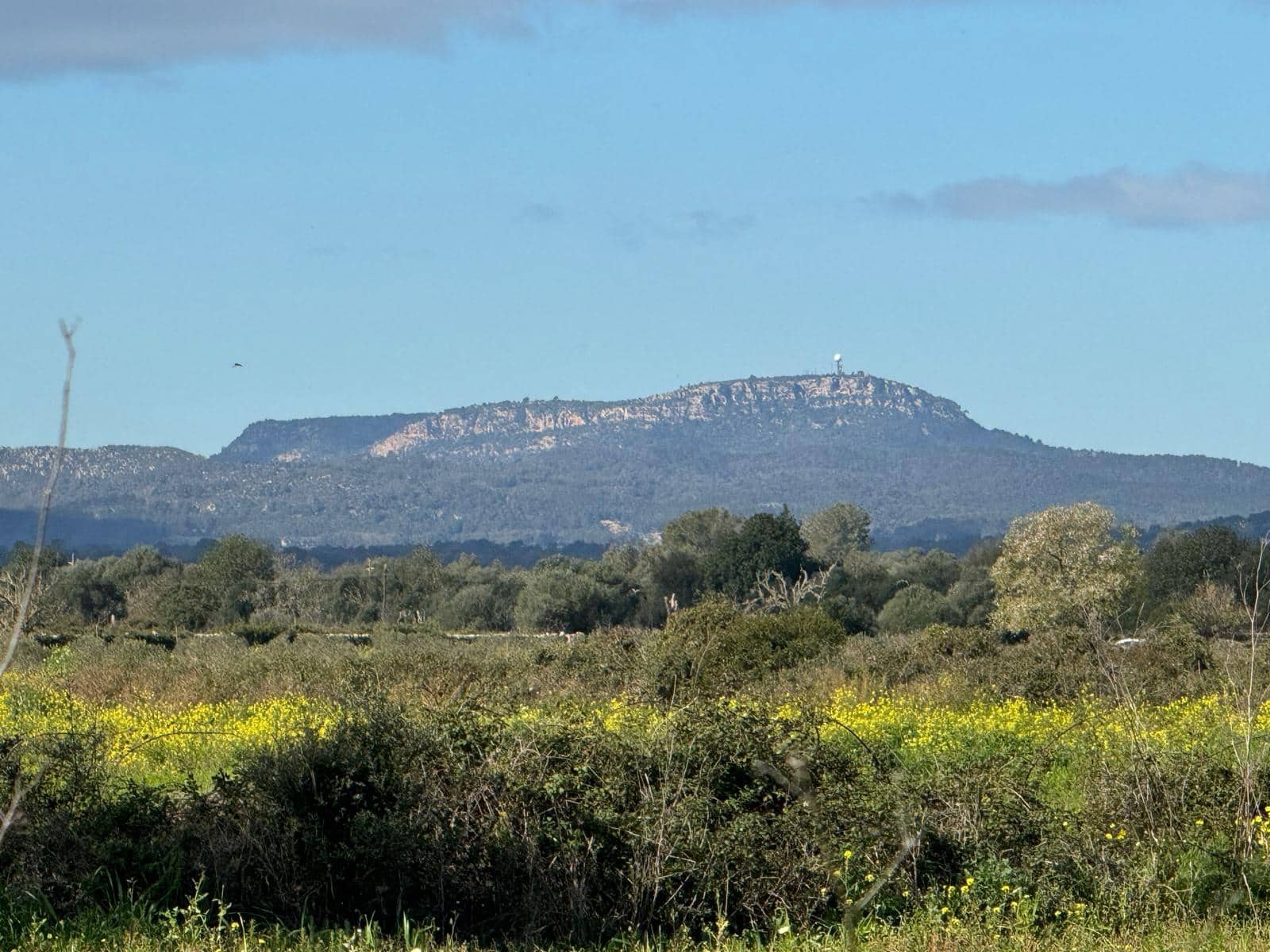 Building Plot for sale in Felanitx - € 160,000 (Ref: 9829631)