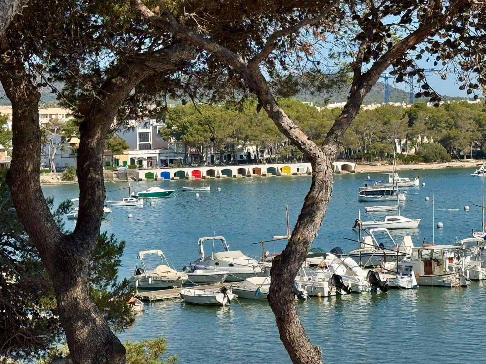 1 bedroom Apartment for rent in Portocolom with garage - € 1,700 (Ref: 9929977)