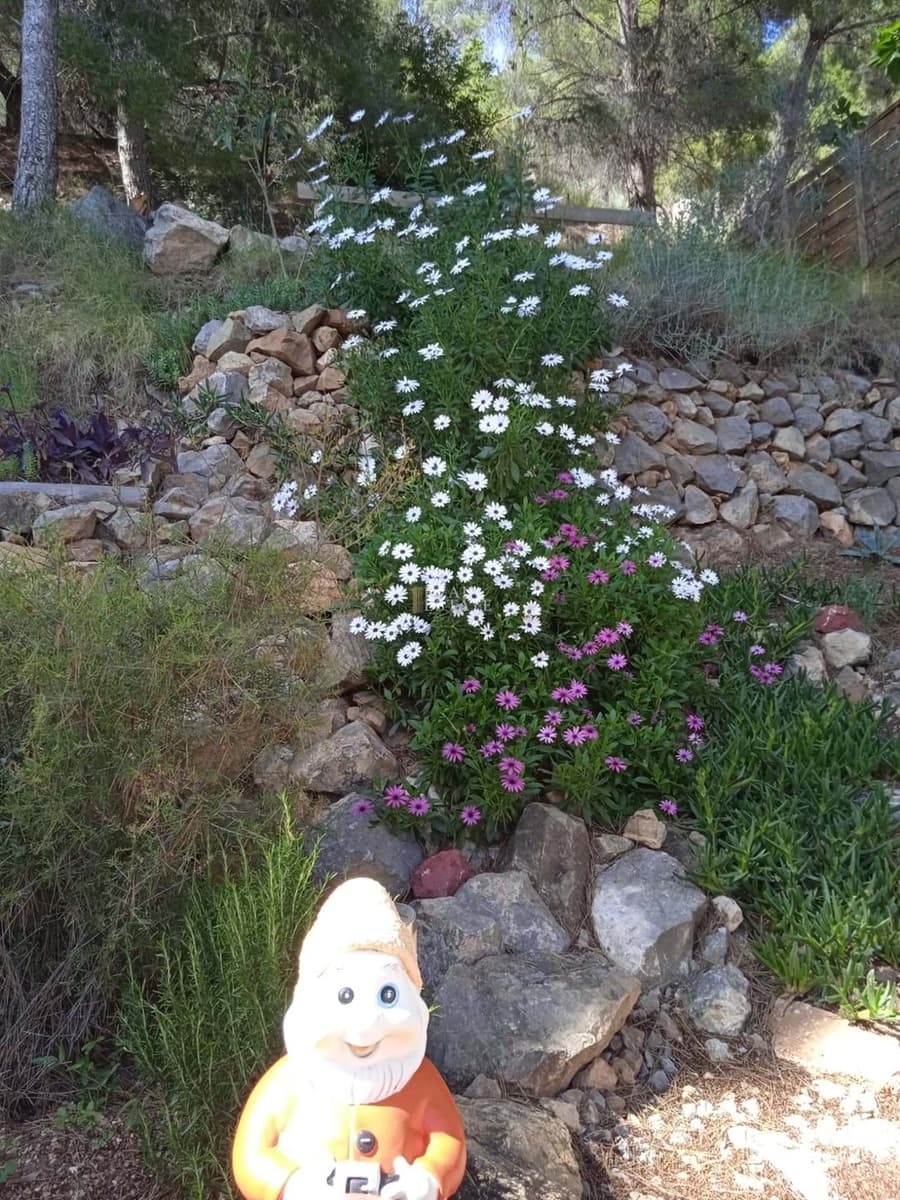 4 soveværelse Villa til salg i Callosa d'En Sarria med swimmingpool - € 470.000 (Ref: 8744685)